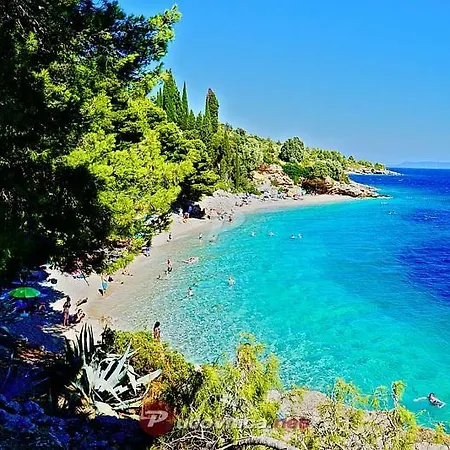 Apartman Vuskovic *